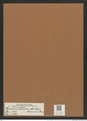 Coscinodiscus baldjikianus Grun. (de-Toni-Nr.: Genus 202, Species 4876) Zeichnungen Sammlung Grunow Mappe 04716 (Herbarium_W_Grunow_drawings_Folder_04716)